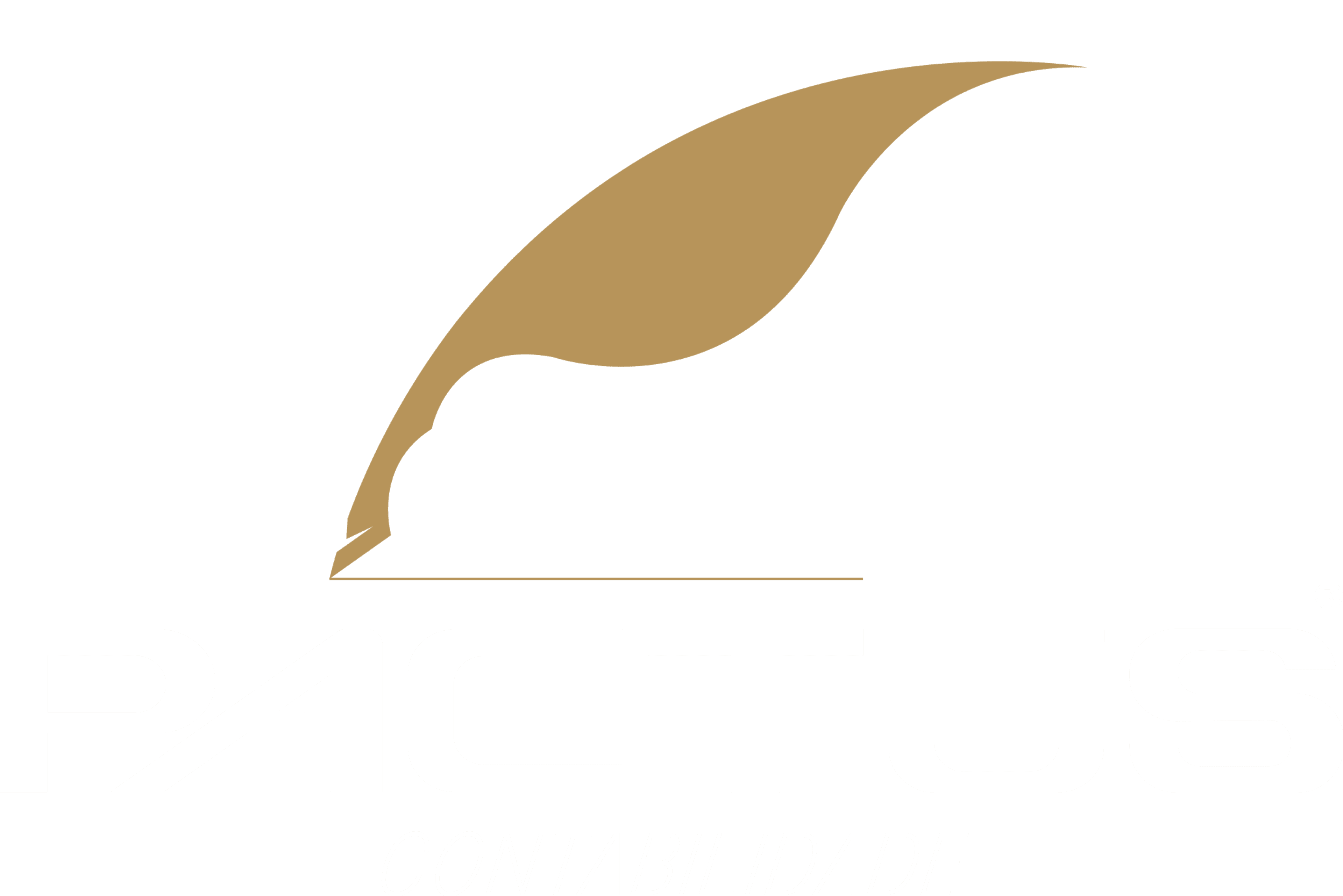 Pactus Contabilidade
